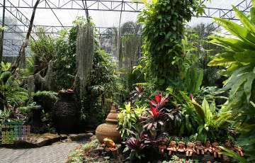 Картинка таиланд календари природа 2018 растения статуэтка