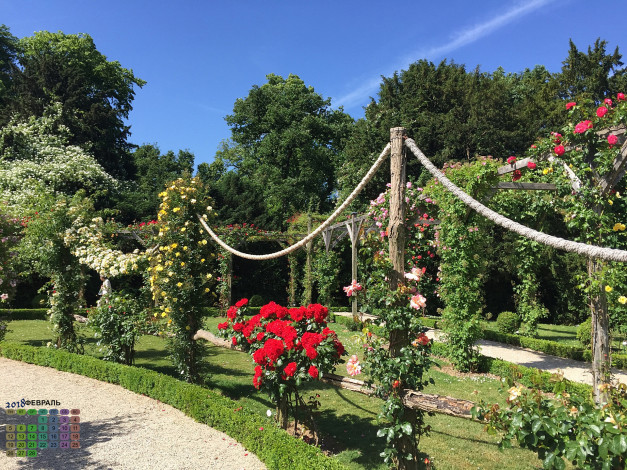 Обои картинки фото франция, календари, природа, растения, деревья, цветы, 2018