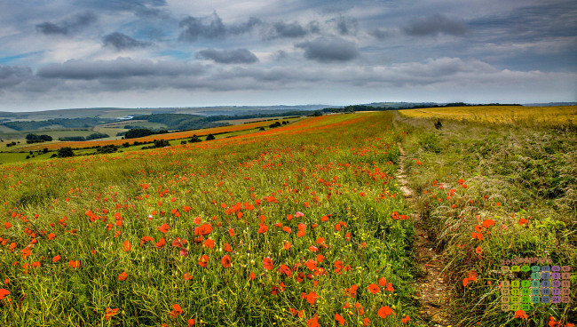 Обои картинки фото календари, природа, облака, растения, цветы, 2018