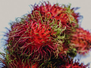 Картинка еда рамбутан экзотический фрукт