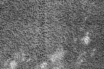 Картинка разное текстуры земля