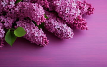 Картинка 3д+графика цветы+ flowers цветы букет весна цветение сирень соцветия цветущая сиреневый фон