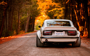 Картинка автомобили nissan datsun