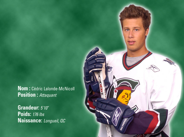 Обои картинки фото спорт, хоккей