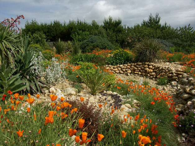 Обои картинки фото цветы, разные, вместе