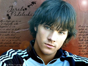 Картинка кино фильмы supernatural