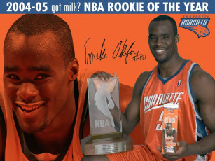 Картинка спорт баскетбол