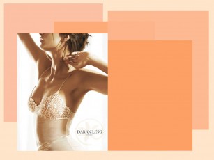 Картинка darjeeling бренды