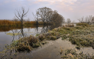 Картинка природа реки озера вечер река трава
