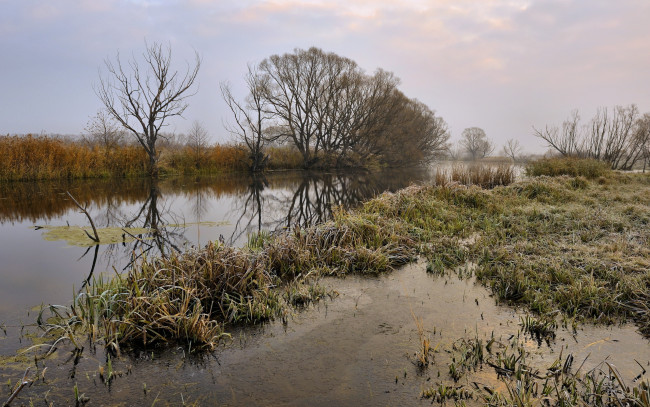 Обои картинки фото природа, реки, озера, вечер, река, трава