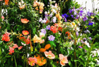 Картинка разное компьютерный+дизайн цветы вмести разные