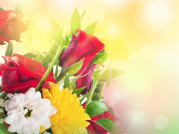 Обои картинки фото цветы, букеты,  композиции, букет, хризантемы, розы