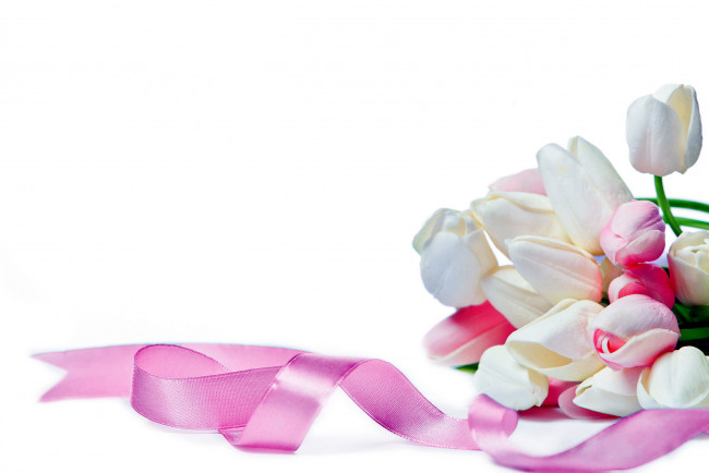 Обои картинки фото цветы, тюльпаны, лента, белый, розовый