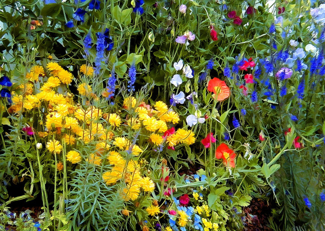 Обои картинки фото разное, компьютерный дизайн, разные, цветы