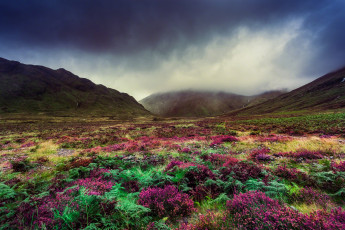 Картинка природа луга горы тучи трава равнина