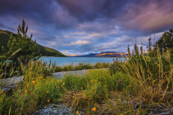 Картинка природа реки озера луг река холмы