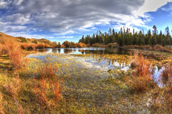 Картинка природа реки озера река лес осень