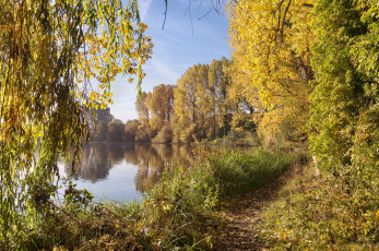 Картинка природа реки озера река лес осень