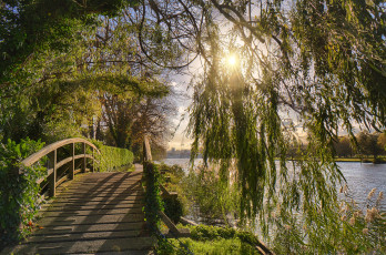 Картинка природа пейзажи лес мостик река