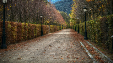 Картинка природа дороги фонари дорожка аллея