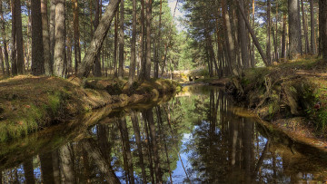 Картинка природа реки озера лес река