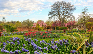 Картинка природа парк цветы клумбы деревья