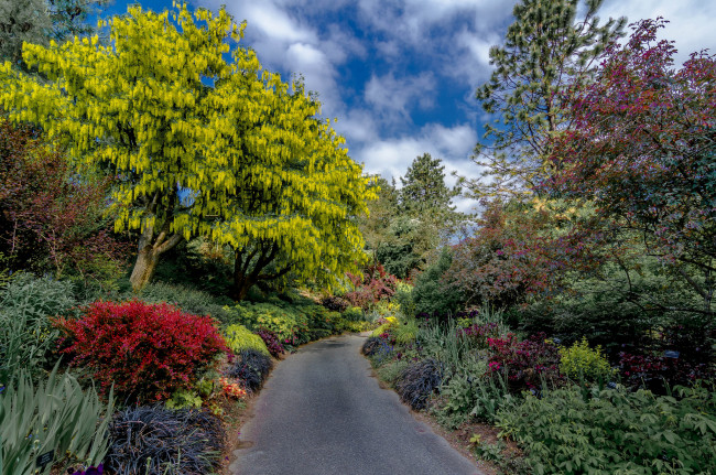 Обои картинки фото природа, дороги, дорожка, парк