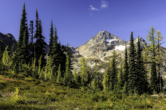 Обои картинки фото природа, горы, лес