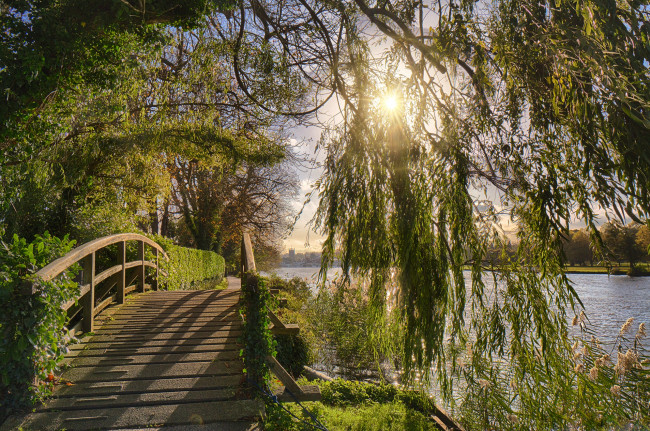 Обои картинки фото природа, пейзажи, лес, мостик, река