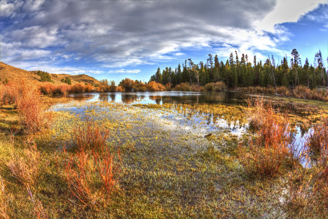 Обои картинки фото природа, реки, озера, река, лес, осень