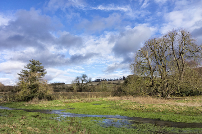 Обои картинки фото природа, пейзажи, речка, поле, деревья