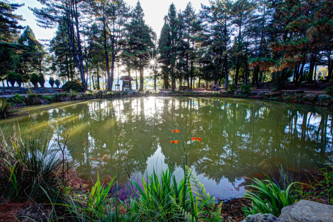 Обои картинки фото природа, реки, озера, озеро, лес, свет