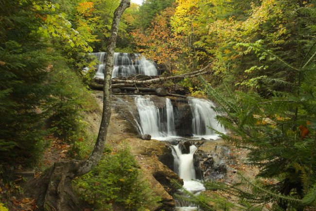 Обои картинки фото природа, водопады, лес, водопад, река