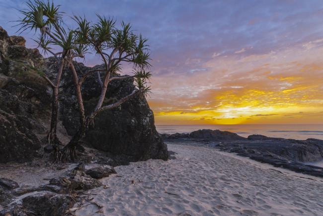 Обои картинки фото природа, восходы, закаты, горизонт, побережье, океан, заря