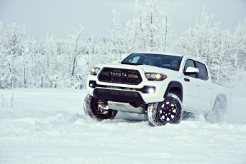 обоя автомобили, toyota, cab, double, pro, tacoma, 2017г, trd