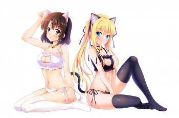 Картинка аниме saenai+heroine+no+sodatekata saenai heroine no sodatekata katou megumi sawamura spencer eriri yagami-all hail nanao