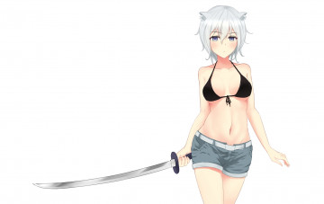 Картинка аниме оружие +техника +технологии wish white