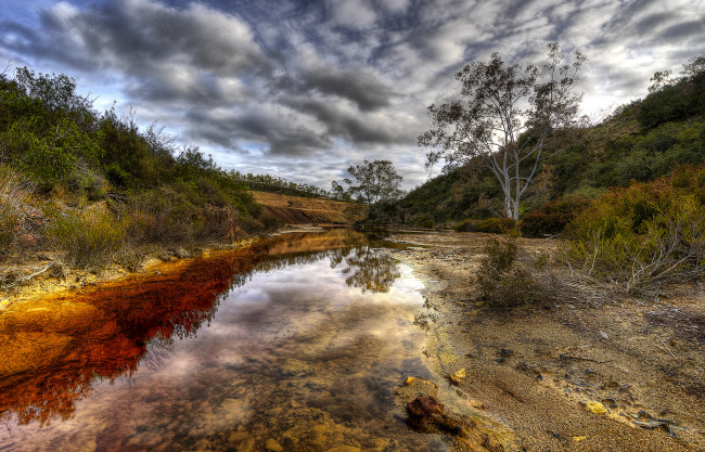 Обои картинки фото природа, реки, озера, река, лес