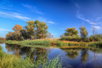 Картинка природа реки озера река лес