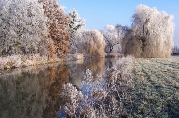 Картинка природа реки озера лес река