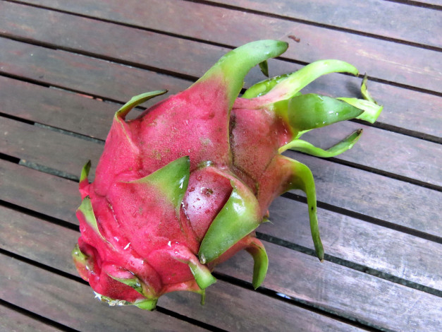 Обои картинки фото еда, питахайя, dragon-fruit, фрукт, экзотический