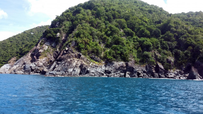 Обои картинки фото природа, побережье, скала, деревья, вода