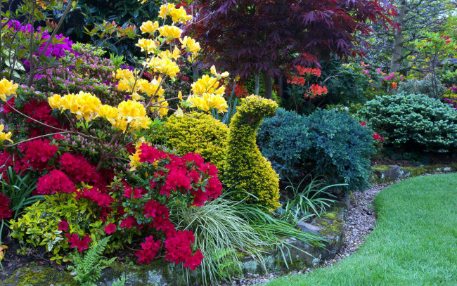 Обои картинки фото природа, парк, газон, клумба