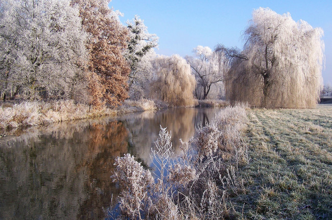 Обои картинки фото природа, реки, озера, лес, река