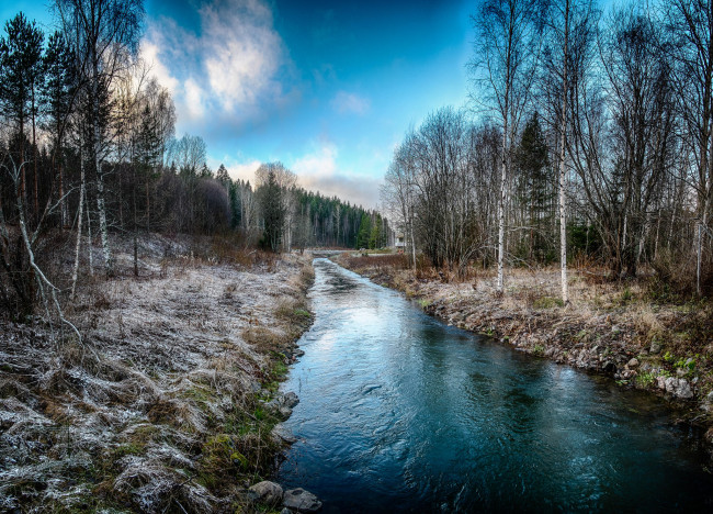 Обои картинки фото природа, реки, озера, лес, иней, ручей