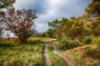 Картинка природа дороги простор