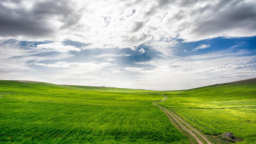 Картинка природа поля дорога поле облака небо