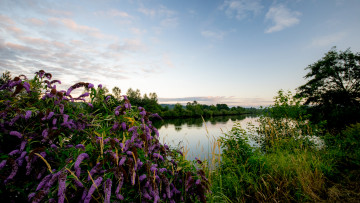 Картинка природа реки озера простор