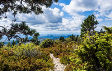 Картинка природа дороги простор