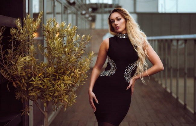 Обои картинки фото девушка, девушки, -unsort , блондинки,  светловолосые, модель, olya alessandra